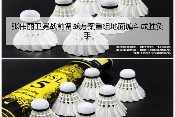 张伟丽卫冕战前备战方案重组地面缠斗成胜负手