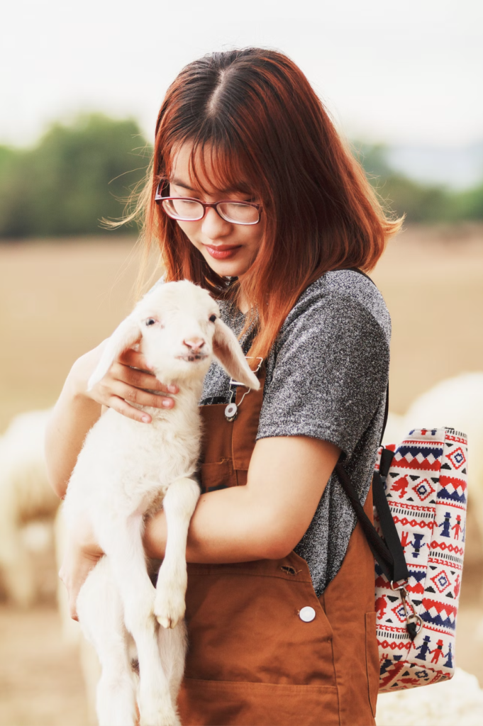 a girl holds a baby sheep in her hands