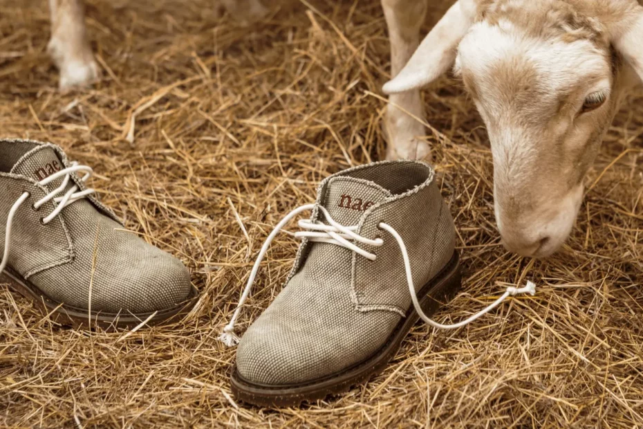 Vegan shoes and a sheep